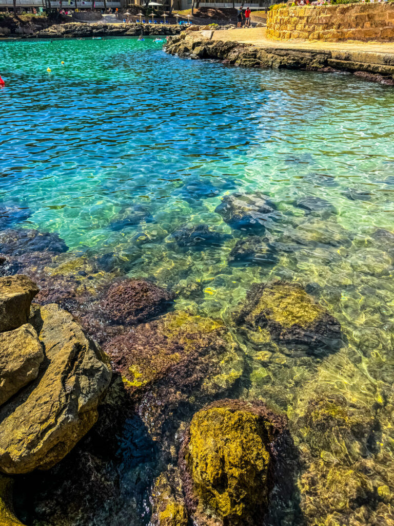 Mare, Globales cala vinas maiorca